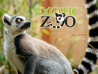 EYFS - Exotic Zoo Visit